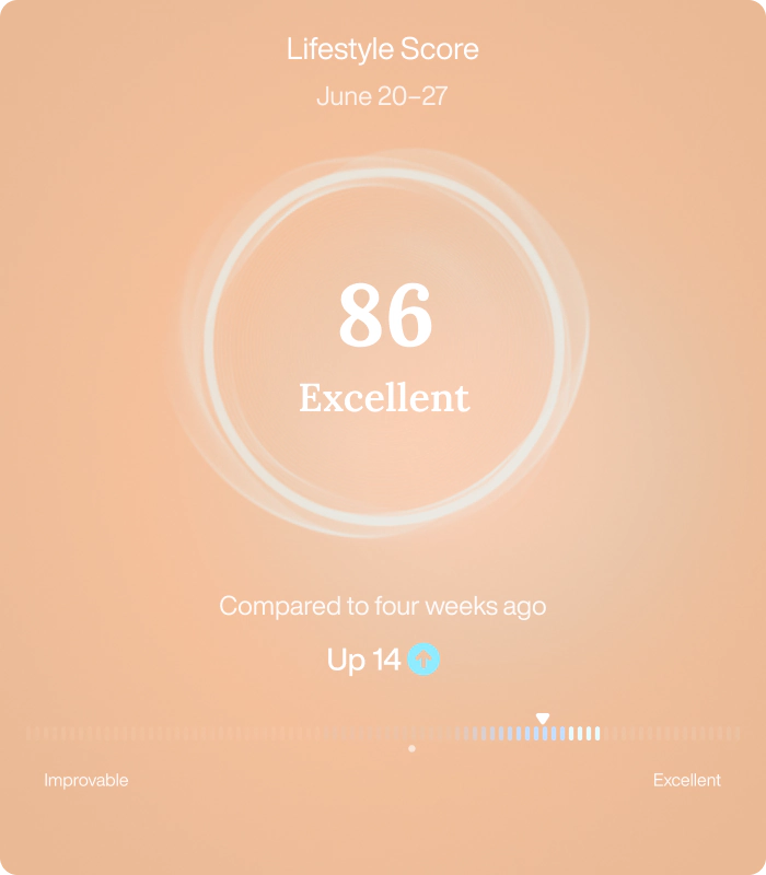 Turn Data Into Meaningful Insight